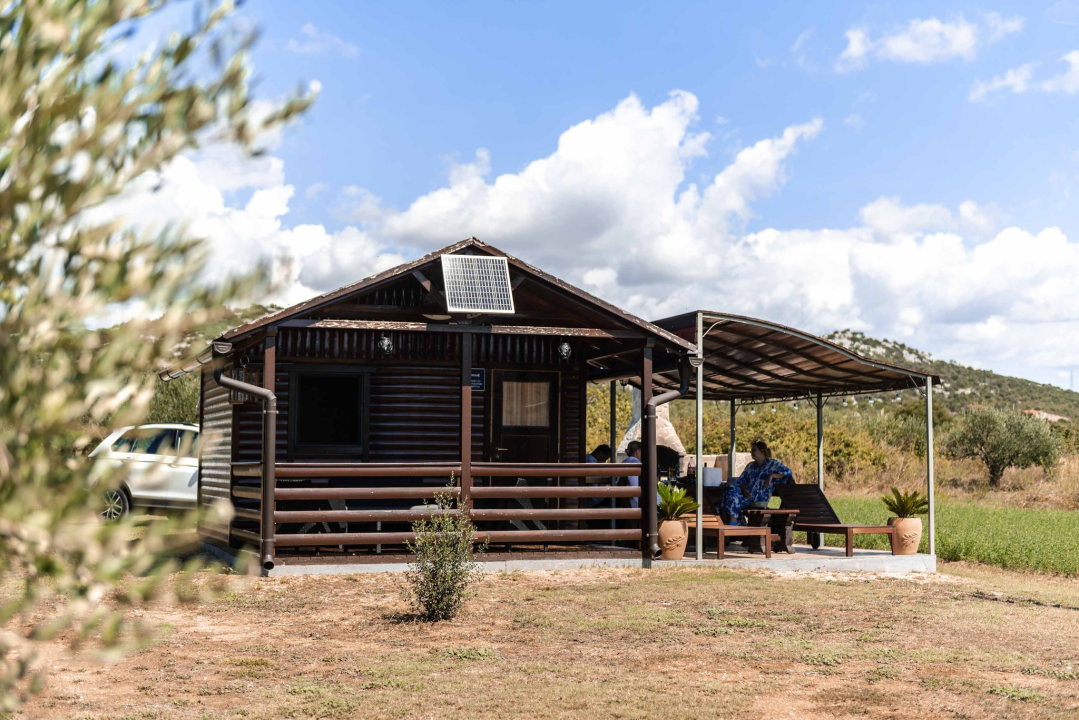 Krešimir Uroda vratio se u Pirovac, oživio maslinik i danas je njegovo ulje među najboljim u svijetu