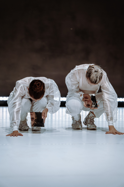 Strahovi malih razlika u Arsenu: Pitanja individualnog i kolektivnog, svjesnih i nesvjesnih obilježja sredine