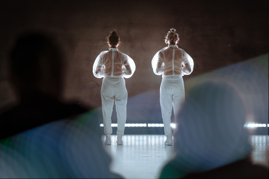 Strahovi malih razlika u Arsenu: Pitanja individualnog i kolektivnog, svjesnih i nesvjesnih obilježja sredine