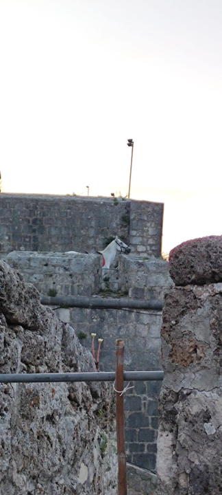 Gracija je kostimografkinja koja se iz Zagreba vratila u Zagoru i danas se bavi uzgojem konja