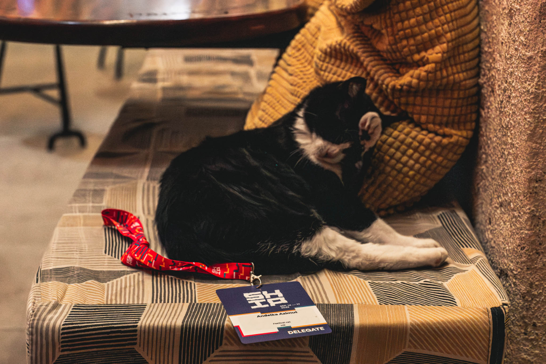 SHIP je porinut: Pogledajte kako je izgledao najbolji trodnevni tulum u Šibeniku