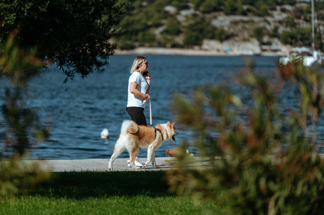 FOTO Đir po gradu, utorak 26. rujna