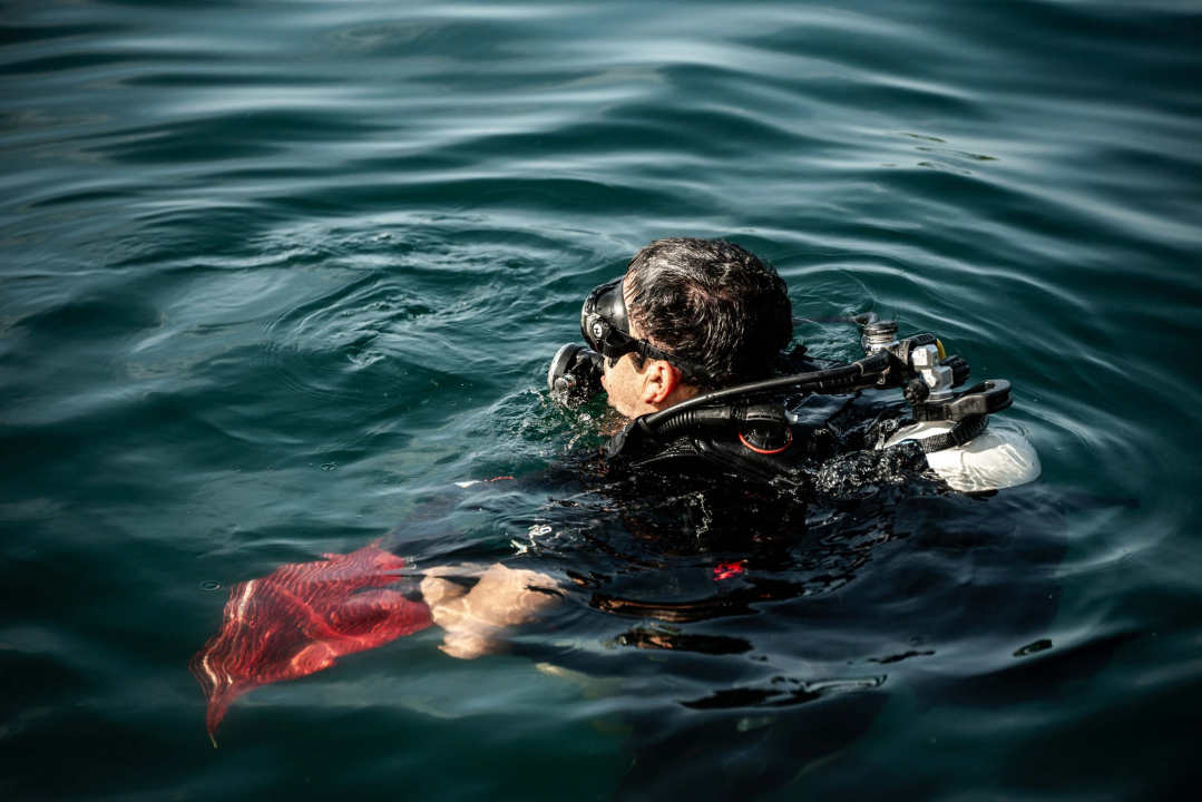 Jutros povodom Dana grada čišćeno podmorje šibenske rive: Među puno smeća pronađena pa deaktivirana ručna bomba