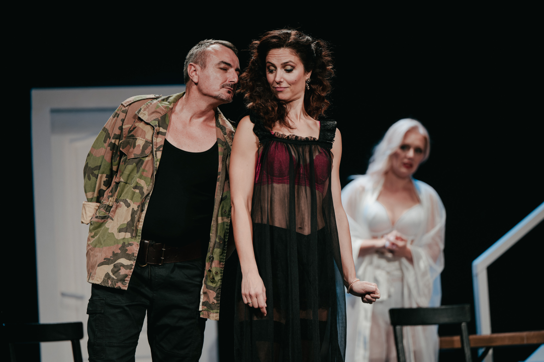 Dođi gola na večeru: Nova predstava šibenskog kazališta humorom šamara gledatelje!