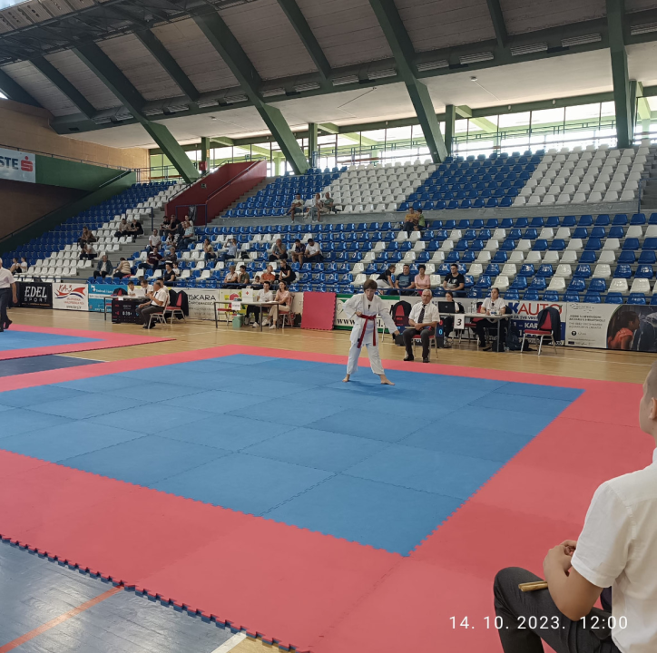 Šibenske parakaratašice Nika, Julija i Dora osvojile tri medalje: 'Probijaju granice'