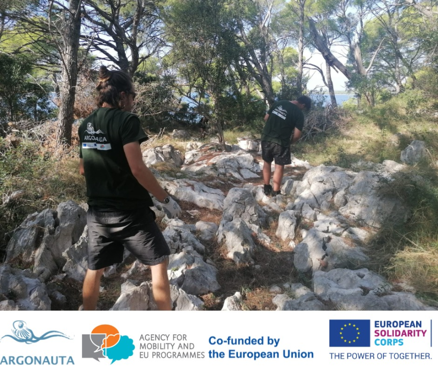 Masline su obrane, površine su zazelenjene, a Murter je čišći 