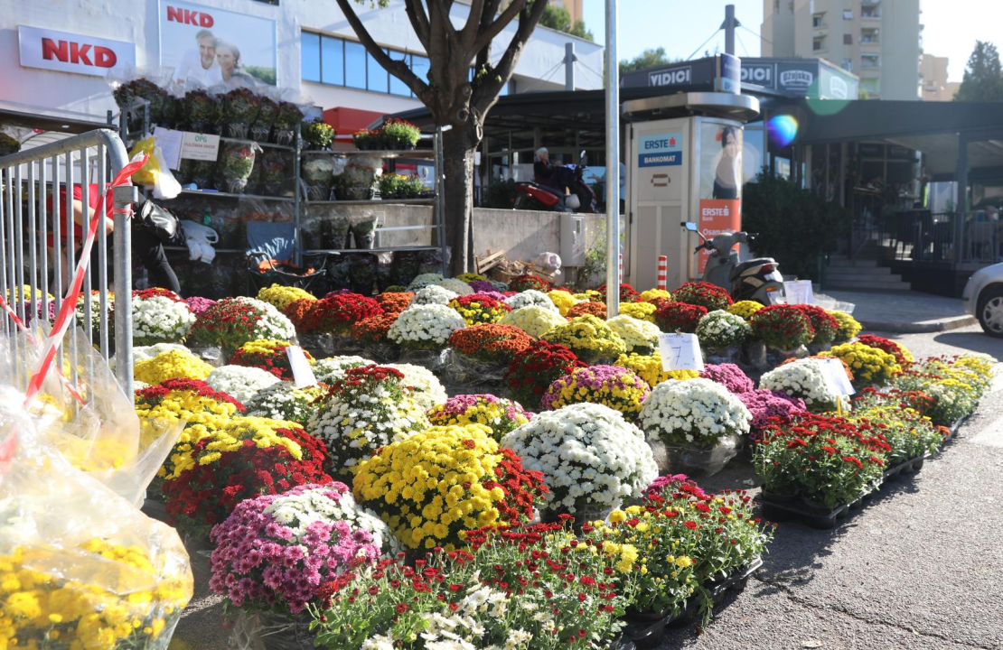 Počela prodaja cvijeća povodom Svih svetih: Na Vidicima parkiralište osvanulo u šarenom izdanju 