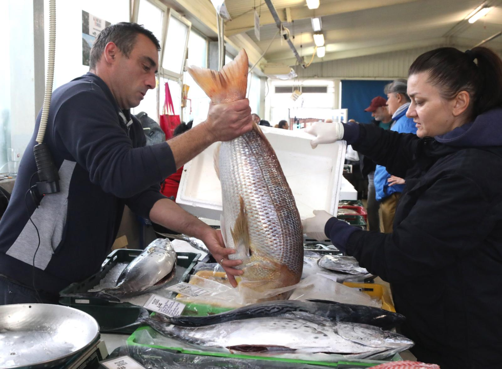 Kako kažu, jutros su na šibenskoj peškariji prodali najvećeg ovogodišnjeg 'Cara od rib': Otputovao je za Zagreb 