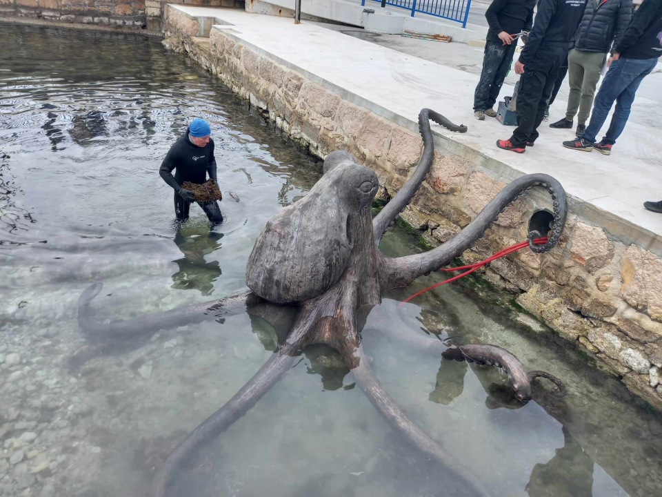 Mulo kod mosta u Tisnom napala gigantska hobotnica: Vjerojatno je riječ o 'osveti' 