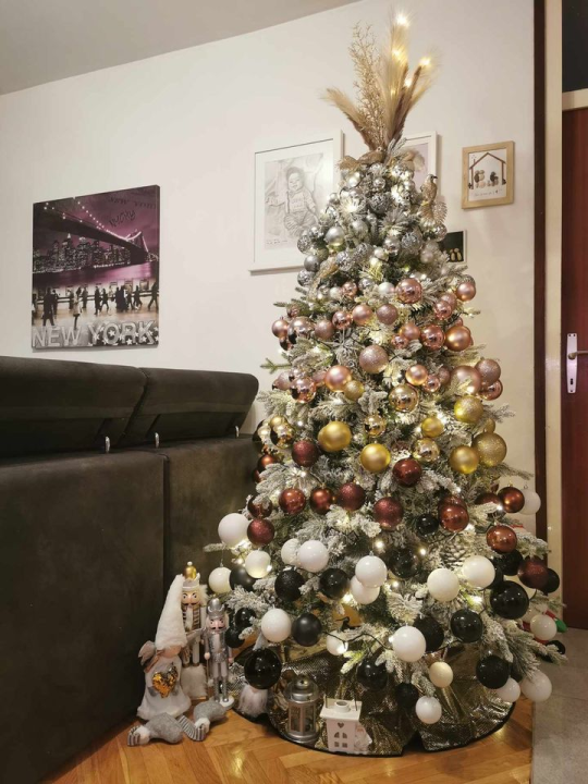 Provjerite tko su pobjednici izbora za naj jelku!