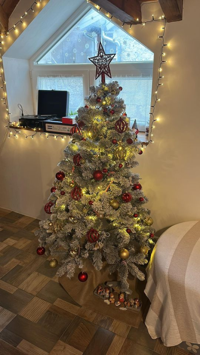 Provjerite tko su pobjednici izbora za naj jelku!