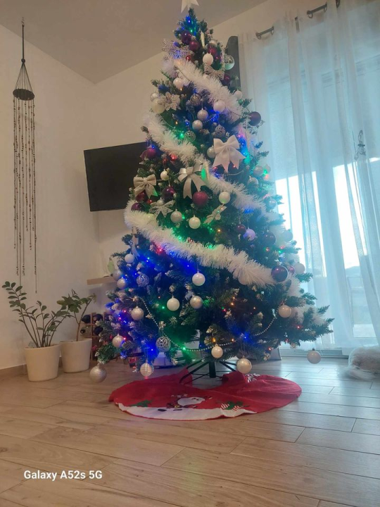 Provjerite tko su pobjednici izbora za naj jelku!