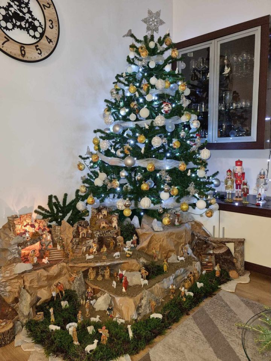 Provjerite tko su pobjednici izbora za naj jelku!