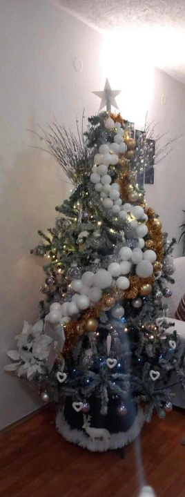 Provjerite tko su pobjednici izbora za naj jelku!