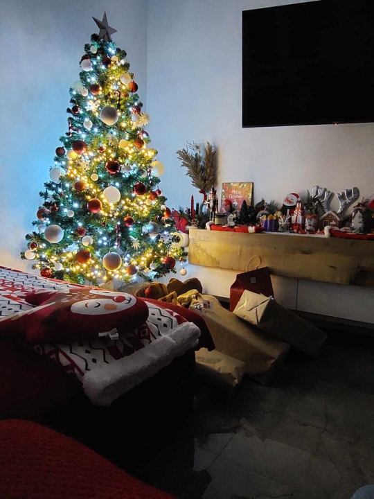 Provjerite tko su pobjednici izbora za naj jelku!