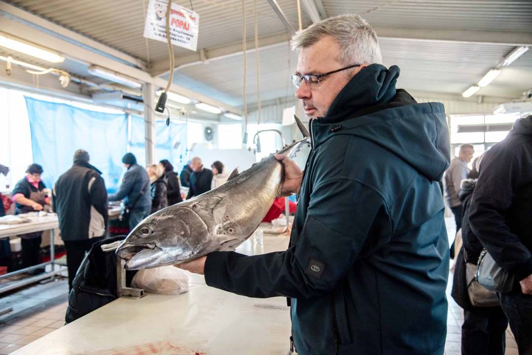Šibenska peškarija danas nudi hamu, ribu na rubu istrebljenja u Jadranu