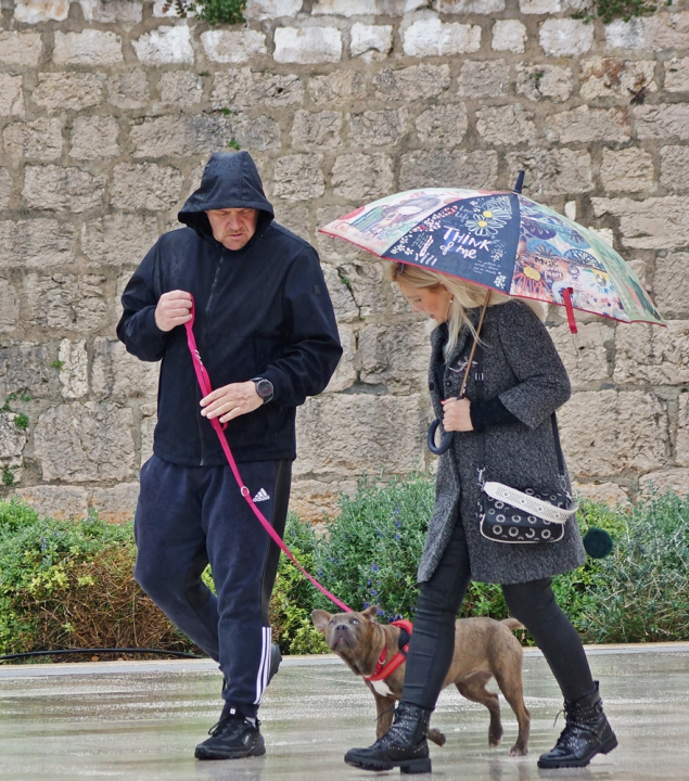 Đir po gradu, nedjelja 25. veljače