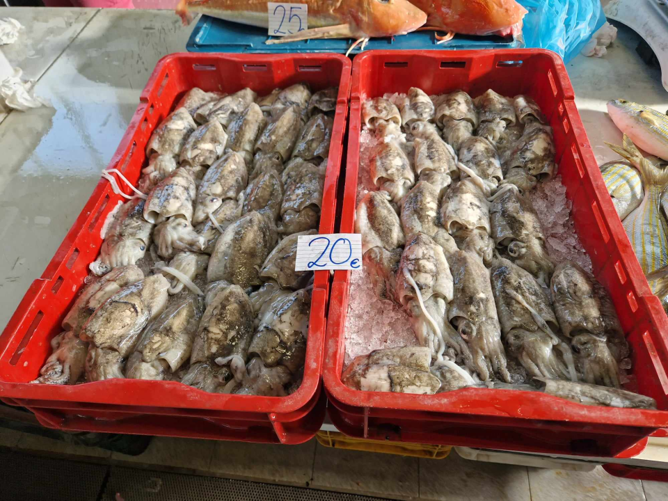 Jugo učinilo svoje: Ne baš bogata ponuda ribe na šibenskoj peškariji na Veliki petak 