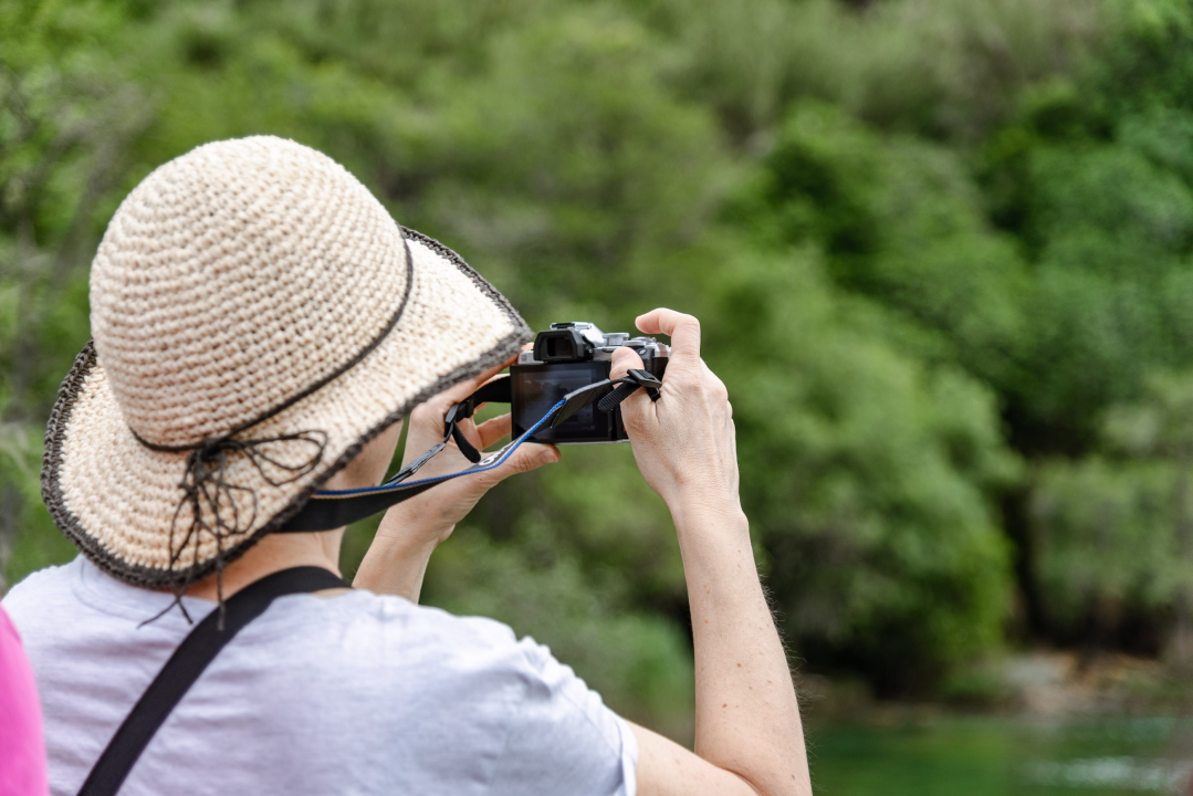 Podijeljeno tisuću sadnica lavande i lovora: 'Želimo očuvati naše ekosustave i poticati bioraznolikost' 