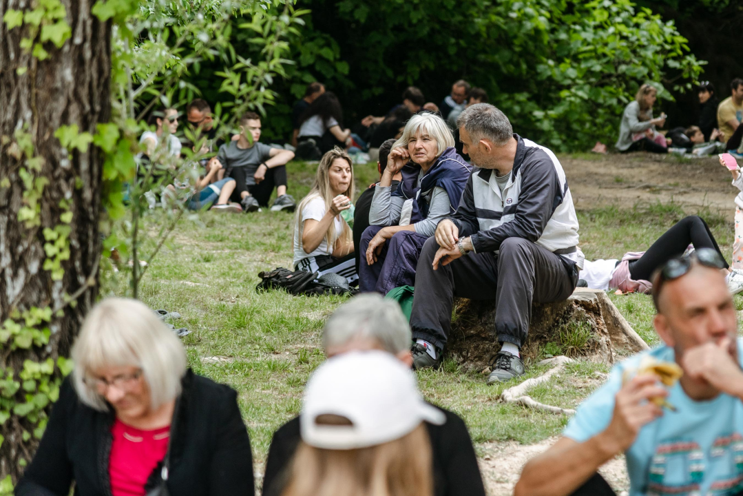 Podijeljeno tisuću sadnica lavande i lovora: 'Želimo očuvati naše ekosustave i poticati bioraznolikost' 