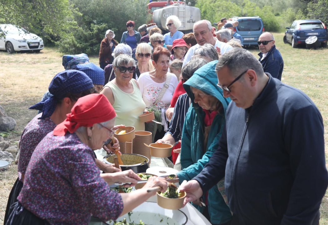 TZ grada Vodica i ove godine organizirao piknik u Rakitnici