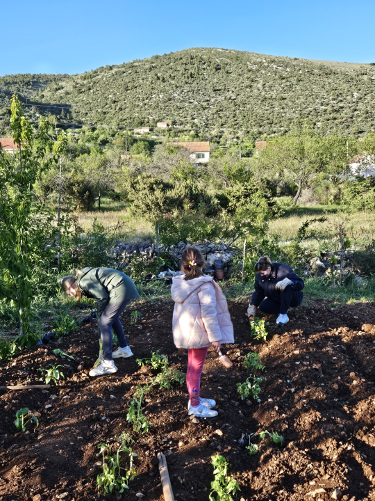 Jure Rončević zajedno s obitelji bavi se uzgojem badema: ‘Nismo htjeli zapustiti djedovinu’