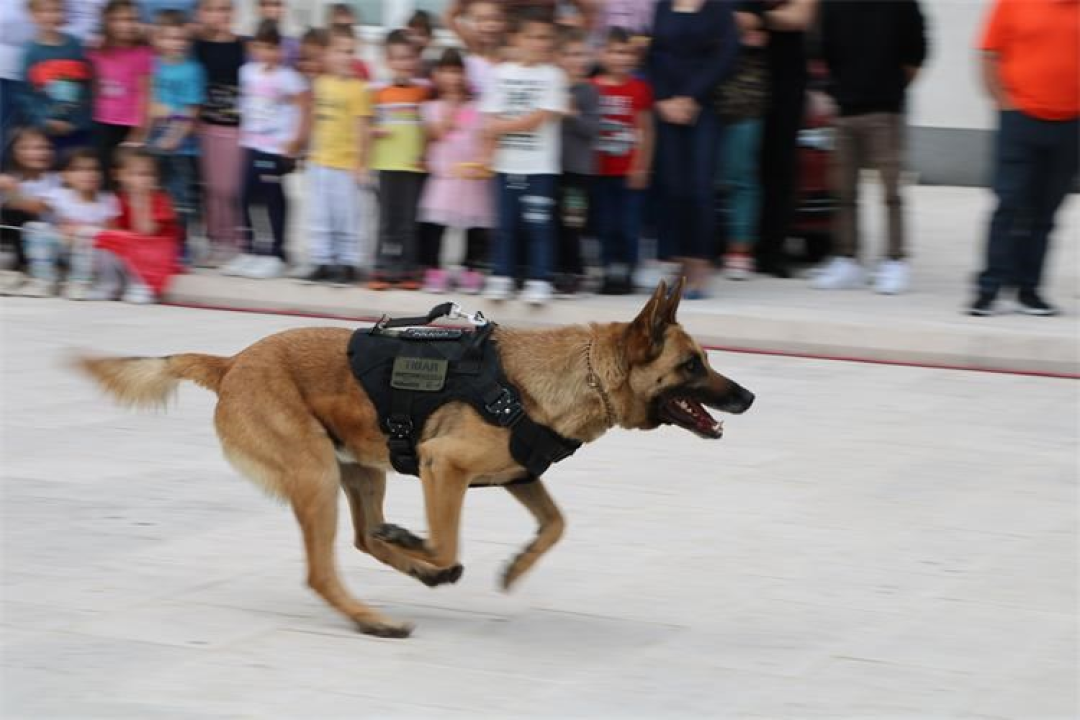 Dani otvorenih vrata PU šibensko-kninske u Drnišu: Glavna zvijezda Tigar