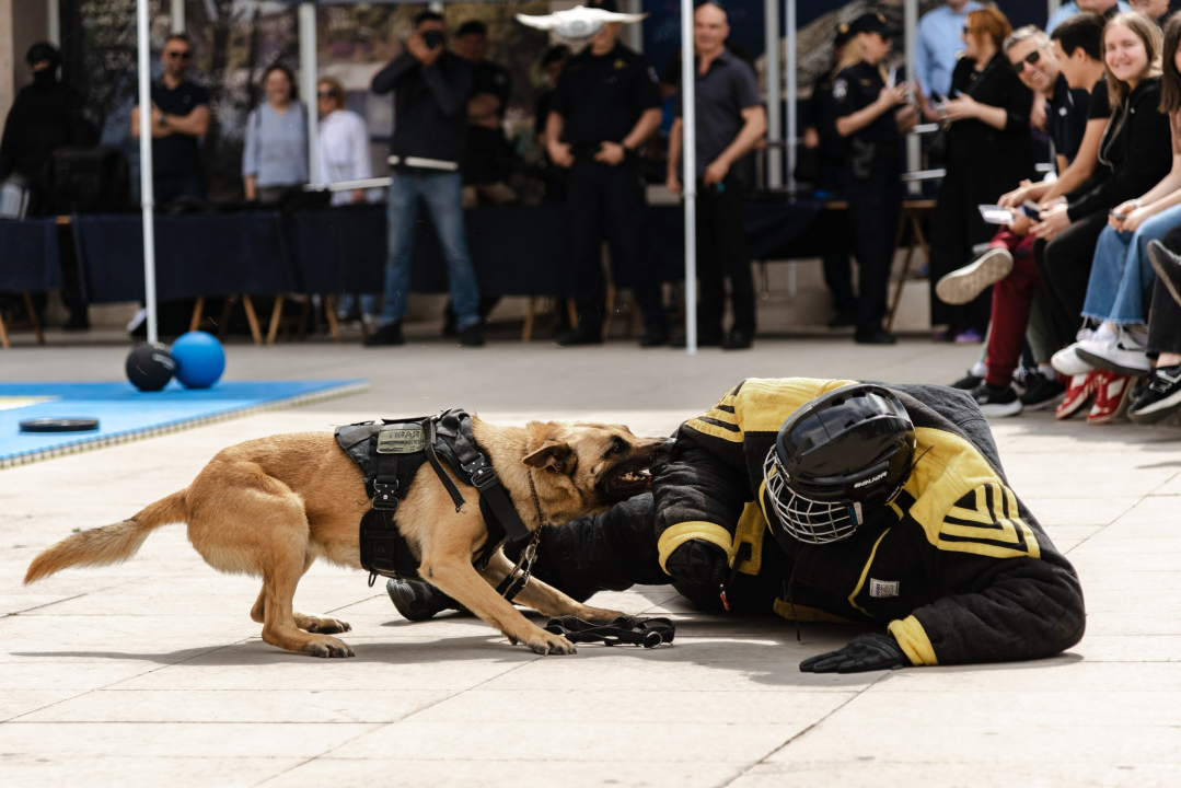 Policajci 'zauzeli' trg ispred Županije kako bi prezentirali svoje zanimanje