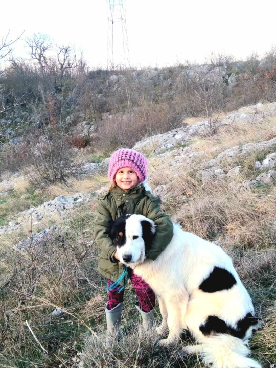 Provjerite tko su naj ljubimci 2024. godine!