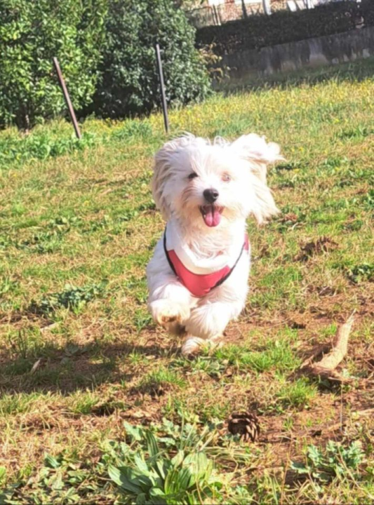 Provjerite tko su naj ljubimci 2024. godine!