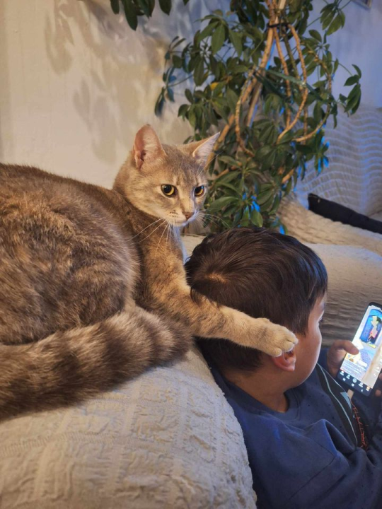 Provjerite tko su naj ljubimci 2024. godine!