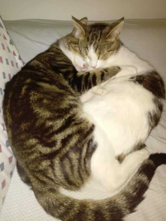 Omiljeni bistro Kod Starog odlično je odredište i u ljetnim danima!