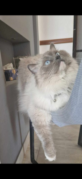 Provjerite tko su naj ljubimci 2024. godine!