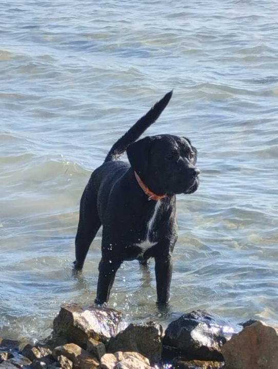 Omiljeni bistro Kod Starog odlično je odredište i u ljetnim danima!