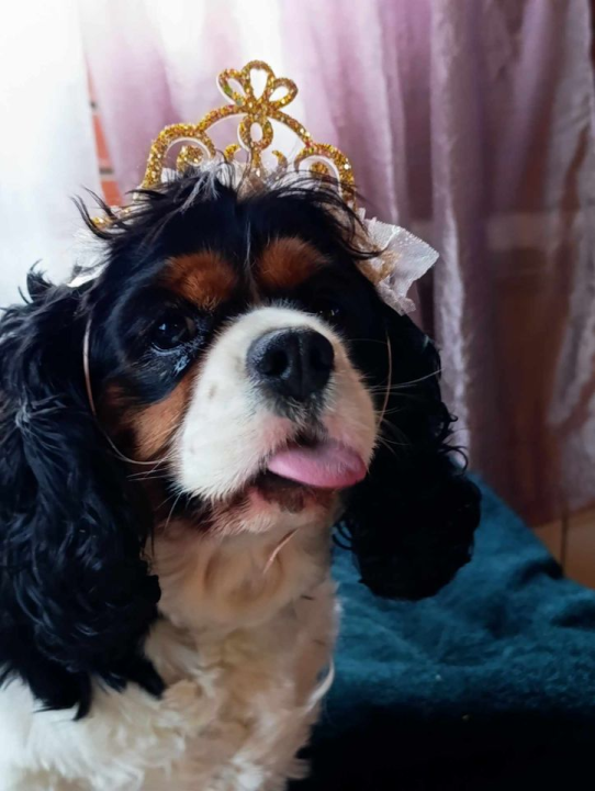 Omiljeni bistro Kod Starog odlično je odredište i u ljetnim danima!