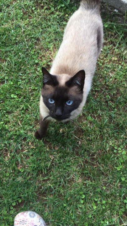 Omiljeni bistro Kod Starog odlično je odredište i u ljetnim danima!