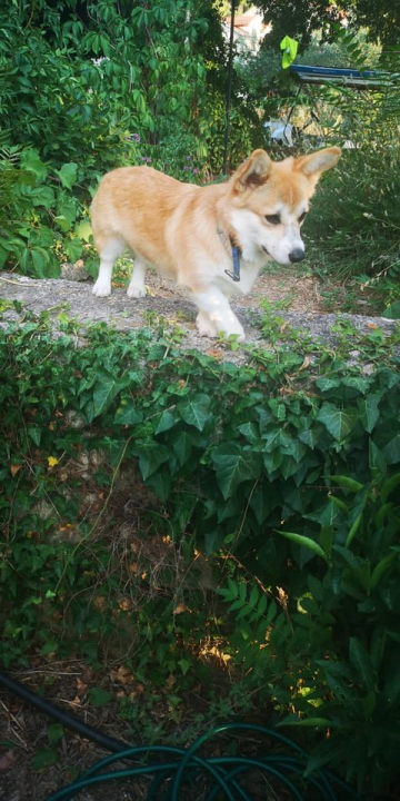 Provjerite tko su naj ljubimci 2024. godine!