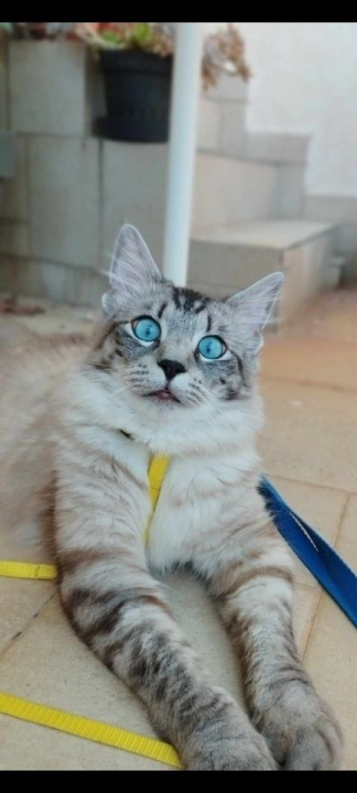 Provjerite tko su naj ljubimci 2024. godine!