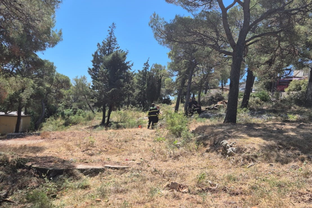 Šibenski vatrogasci očistili prostor oko DV Šibenski tići