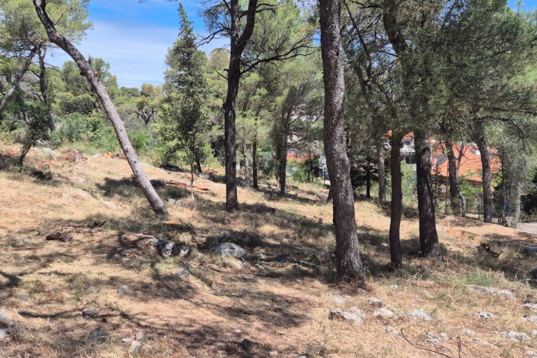 Šibenski vatrogasci očistili prostor oko DV Šibenski tići