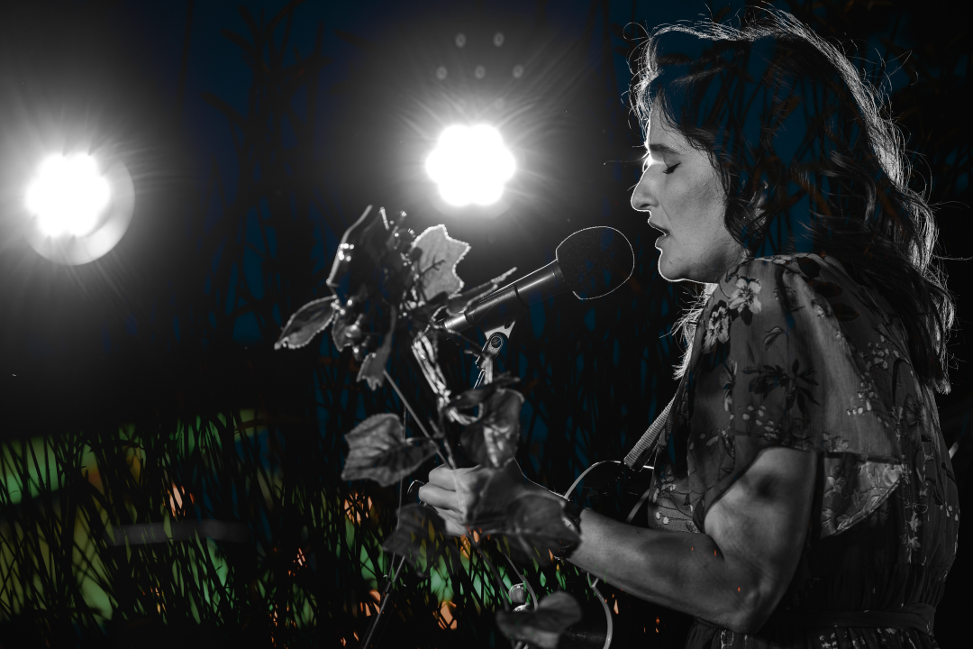 Nina Romić na Baroneu Djevojkom iz mog kraja rastjerala buru 