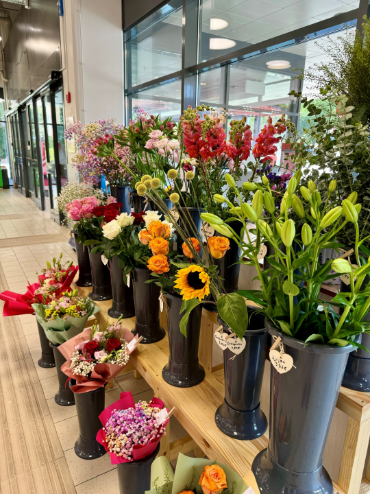 Obradujte svoje najmilije prekrasnim cvjetnim aranžmanima novootvorenog Flower shopa Lu