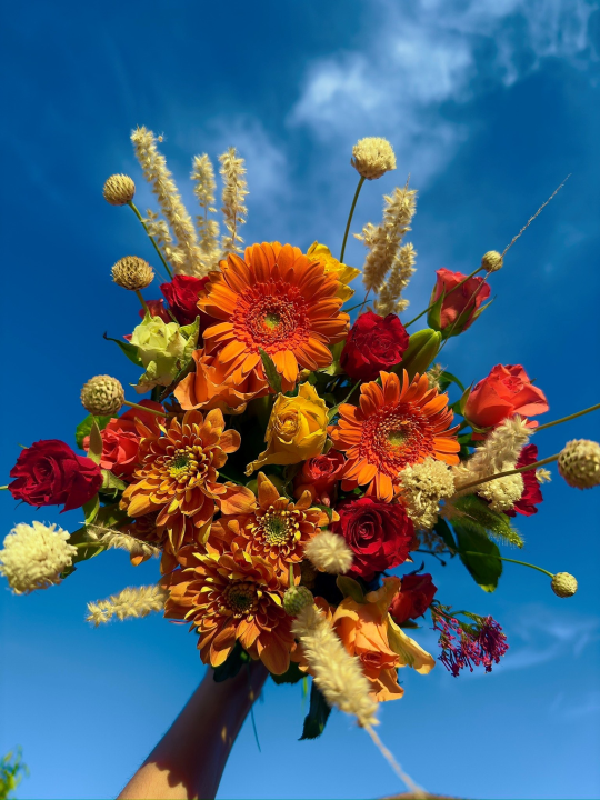 Obradujte svoje najmilije prekrasnim cvjetnim aranžmanima novootvorenog Flower shopa Lu
