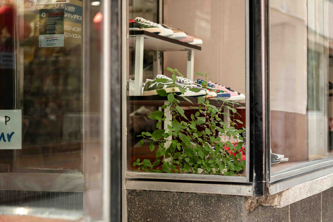 Borovu u Kalelargi izlog dekorira Majka Priroda, inspiracija su joj Borosane 