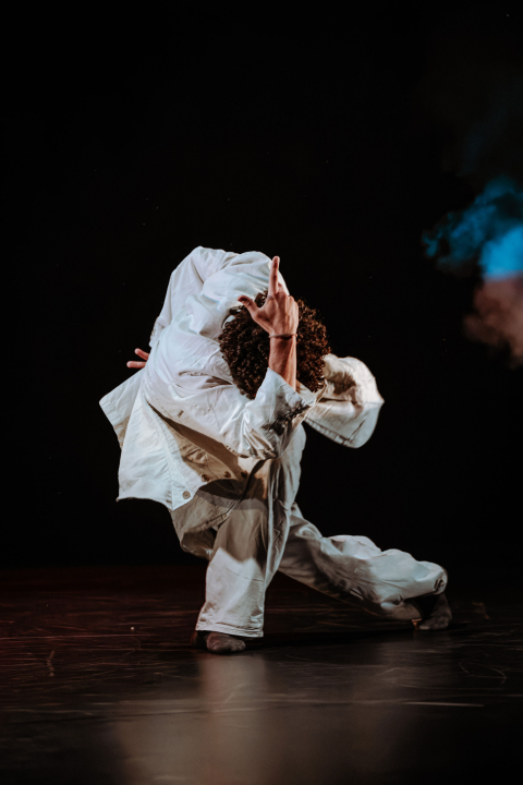 PUPO na sv. Mihovilu: Priča inspirirana Pinocchijom u plesnom remek-djelu talijanskih umjetnika