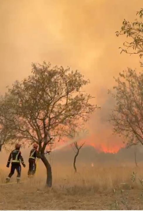 Vodički vatrogasci, nakon pet dana na požarištu, spasili mladog sokola