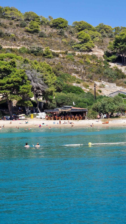 Morska avantura  ŠibenikIN-a: Tjedan dana jedrenja do Dubrovnika, prekrasnih otoka i vala uz nezaboravnu igru dupina