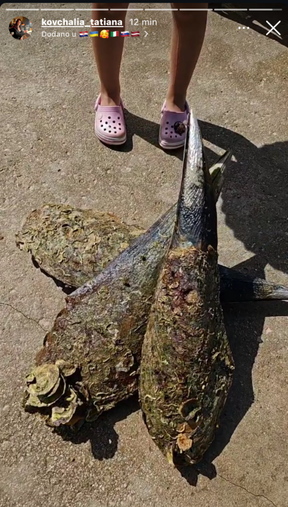 Ukrajinka zaobišla zakonske zabrane i pohvalila se ulovom ugrožene školjke