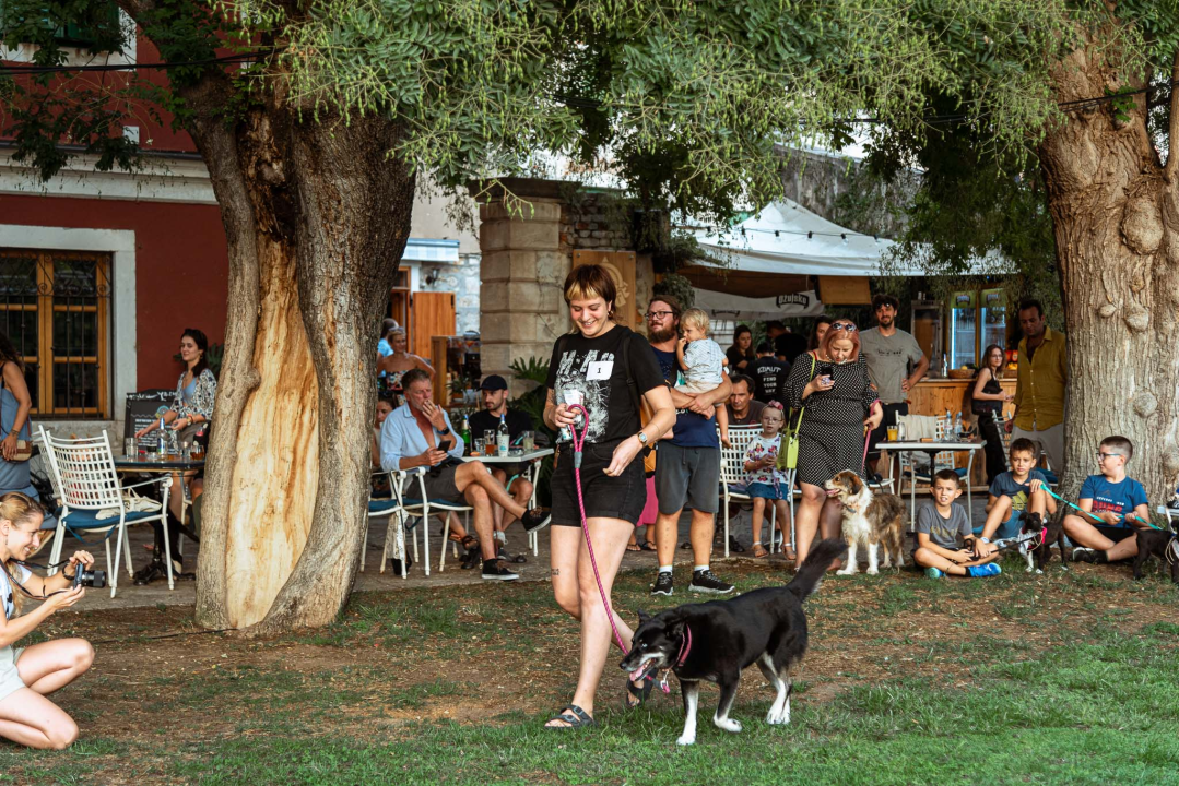 Šibenske šape rođendan proslavile izložbom pasa, tombolom i kvizom