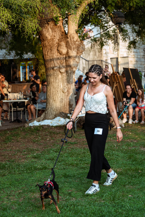 Šibenske šape rođendan proslavile izložbom pasa, tombolom i kvizom